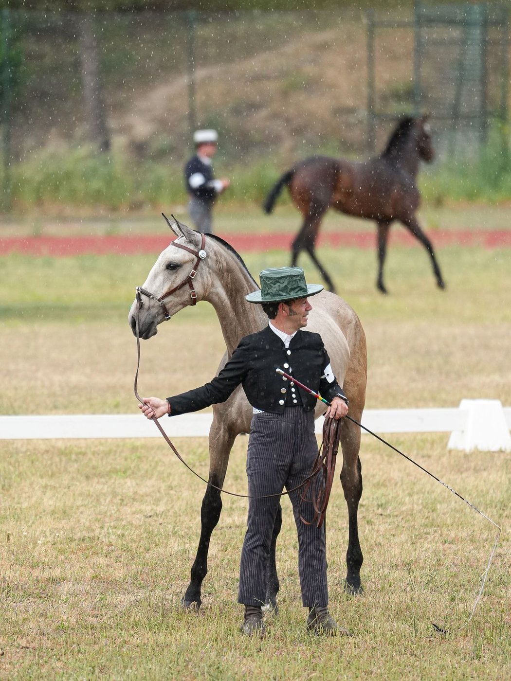 Valete JCL, grandson of Fidalga JCL, presented in hand